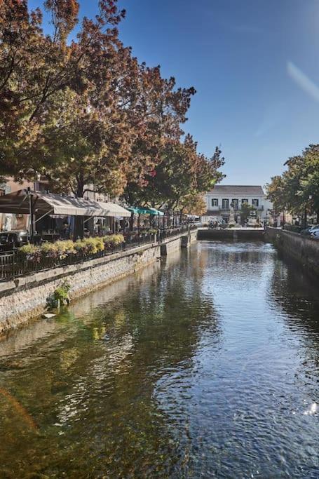 Zen A L Isle LʼIsle-sur-la-Sorgue Dış mekan fotoğraf